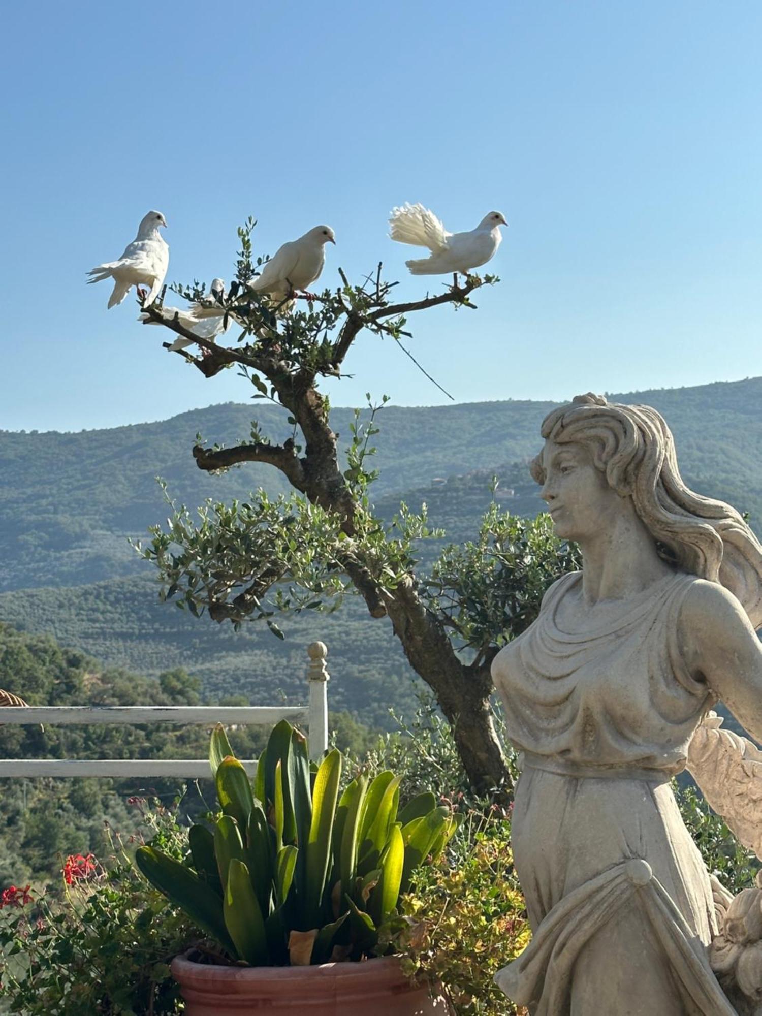 Villa Anna Torria المظهر الخارجي الصورة